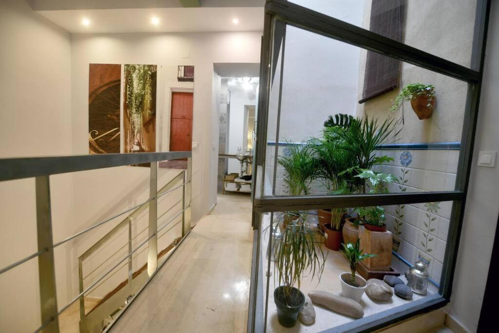 Alegria Sevilla Urban 外观 照片
